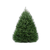 5'-6' Fraser Fir Christmas Tree