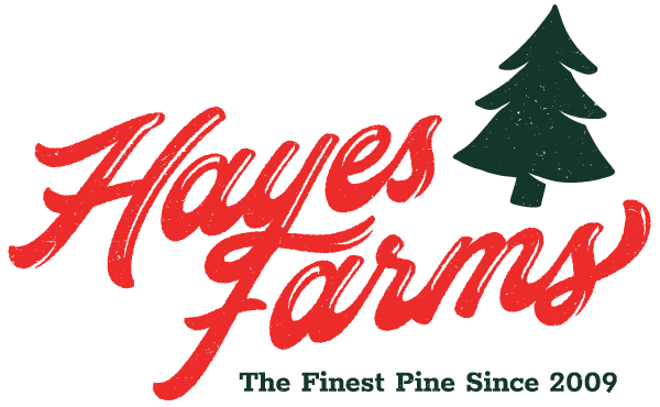 Hayes Farms Finest Pine